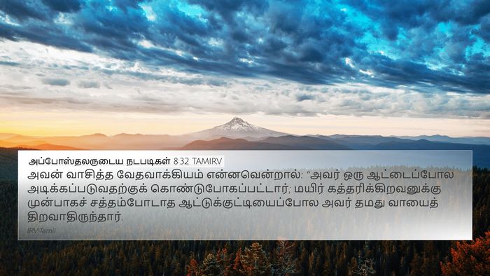 அப்போஸ்தலருடைய நடபடிகள் 8:32 TAMIRV Bible Verse Image