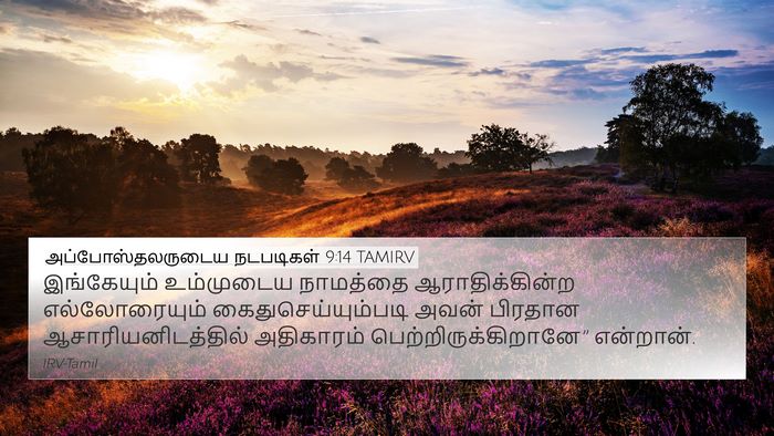 அப்போஸ்தலருடைய நடபடிகள் 9:14 TAMIRV Bible Verse Image