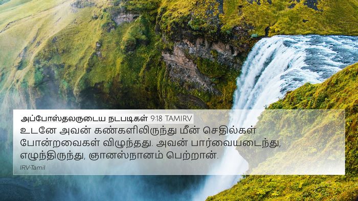 அப்போஸ்தலருடைய நடபடிகள் 9:18 TAMIRV Bible Verse Image