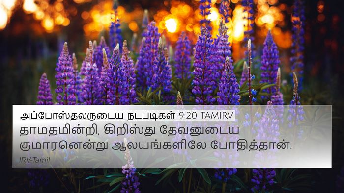 அப்போஸ்தலருடைய நடபடிகள் 9:20 TAMIRV Bible Verse Image