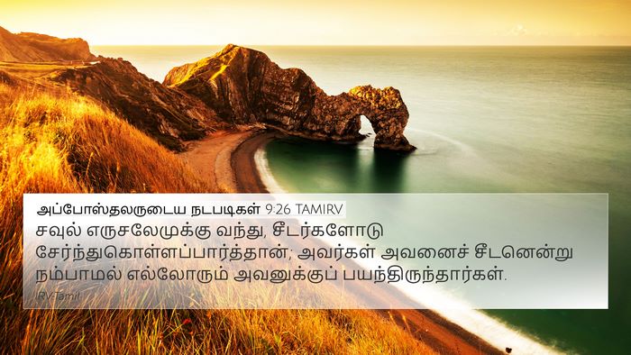 அப்போஸ்தலருடைய நடபடிகள் 9:26 TAMIRV 4K Wallpaper - சவுல் - 4K Wallpaper Bible Verse