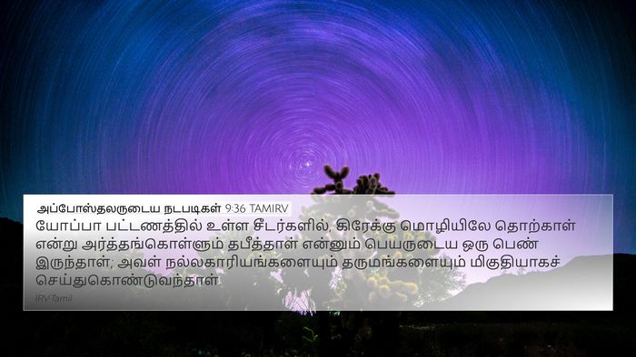 அப்போஸ்தலருடைய நடபடிகள் 9:36 TAMIRV Bible Verse Image