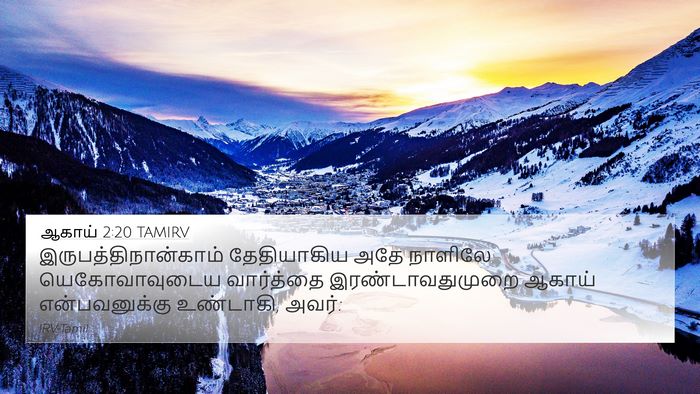 ஆகாய் 2:20 TAMIRV Bible Verse Image