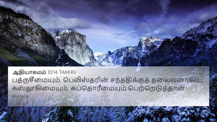 ஆதியாகமம் 10:14 TAMIRV Bible Verse Image