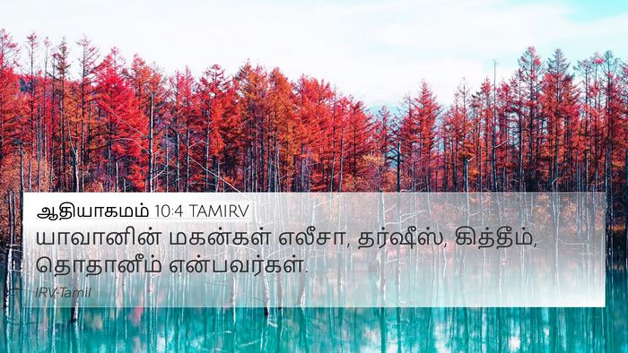 ஆதியாகமம் 10:4 TAMIRV 4K Wallpaper - யாவானின் மகன்கள் - 4K Wallpaper Bible Verse