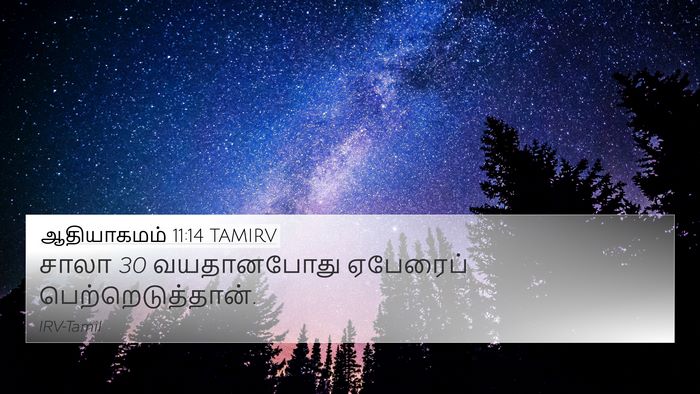 ஆதியாகமம் 11:14 TAMIRV 4K Wallpaper - சாலா 30 வயதானபோது - 4K Wallpaper Bible Verse