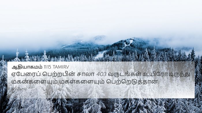ஆதியாகமம் 11:15 TAMIRV 4K Wallpaper - ஏபேரைப் பெற்றபின் - 4K Wallpaper Bible Verse