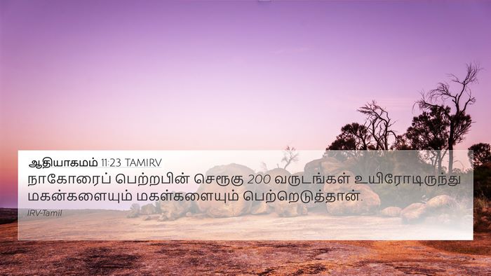 ஆதியாகமம் 11:23 TAMIRV 4K Wallpaper - நாகோரைப் - 4K Wallpaper Bible Verse