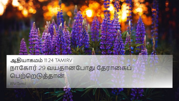 ஆதியாகமம் 11:24 TAMIRV Bible Verse Image