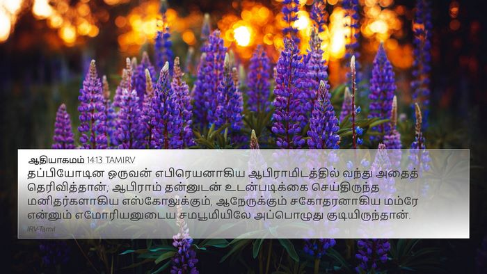 ஆதியாகமம் 14:13 TAMIRV Bible Verse Image