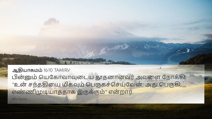 ஆதியாகமம் 16:10 TAMIRV Bible Verse Image
