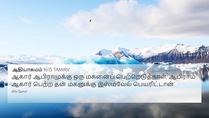 ஆதியாகமம் 16:15 TAMIRV Bible Verse Image
