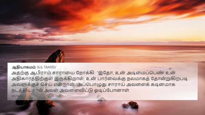 ஆதியாகமம் 16:6 TAMIRV Bible Verse Image