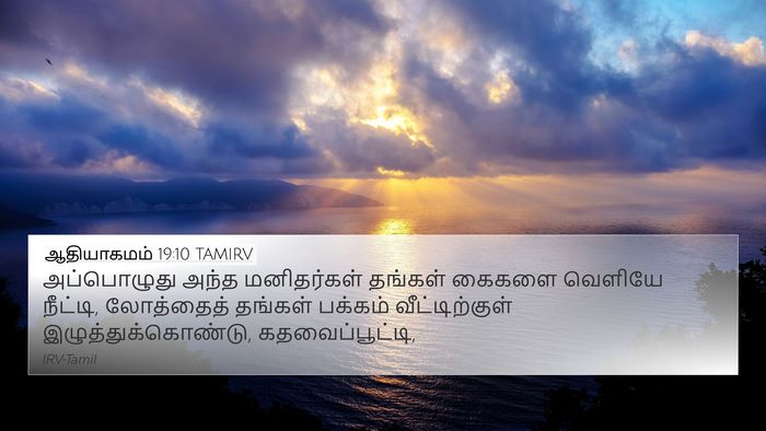 ஆதியாகமம் 19:10 TAMIRV 4K Wallpaper - அப்பொழுது அந்த - 4K Wallpaper Bible Verse