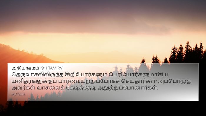 ஆதியாகமம் 19:11 TAMIRV Bible Verse Image