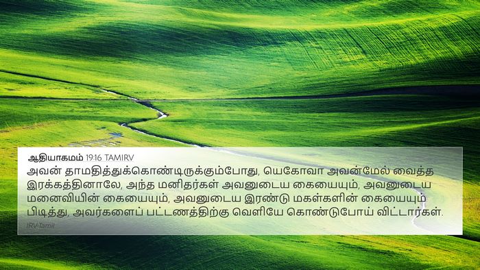 ஆதியாகமம் 19:16 TAMIRV Bible Verse Image