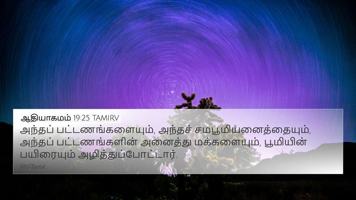 ஆதியாகமம் 19:25 TAMIRV Bible Verse Image