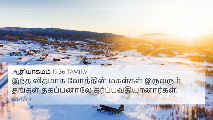 ஆதியாகமம் 19:36 TAMIRV Bible Verse Image