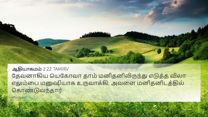 ஆதியாகமம் 2:22 TAMIRV Bible Verse Image