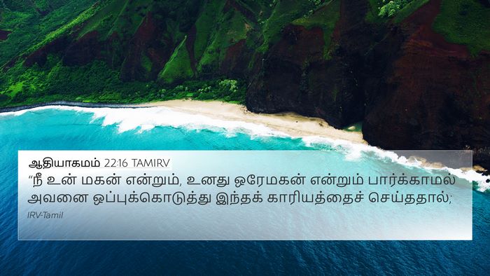 ஆதியாகமம் 22:16 TAMIRV Bible Verse Image