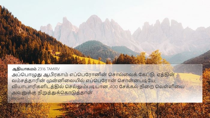 ஆதியாகமம் 23:16 TAMIRV Bible Verse Image