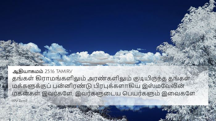 ஆதியாகமம் 25:16 TAMIRV Bible Verse Image