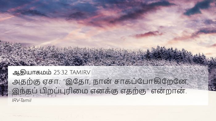 ஆதியாகமம் 25:32 TAMIRV Bible Verse Image