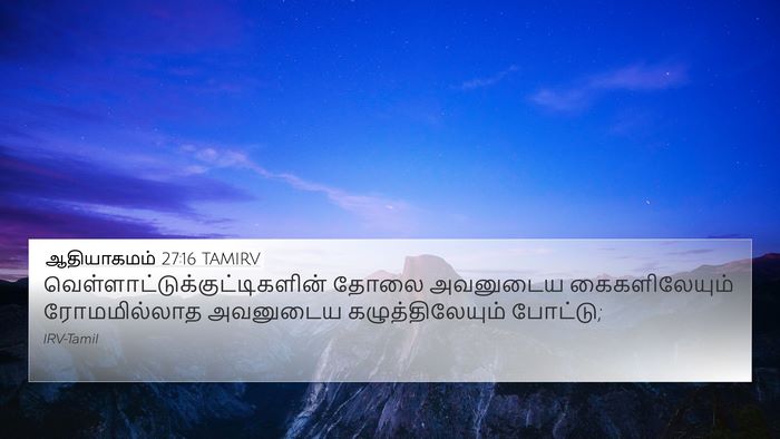 ஆதியாகமம் 27:16 TAMIRV 4K Wallpaper -  - 4K Wallpaper Bible Verse