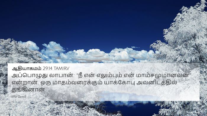 ஆதியாகமம் 29:14 TAMIRV Bible Verse Image