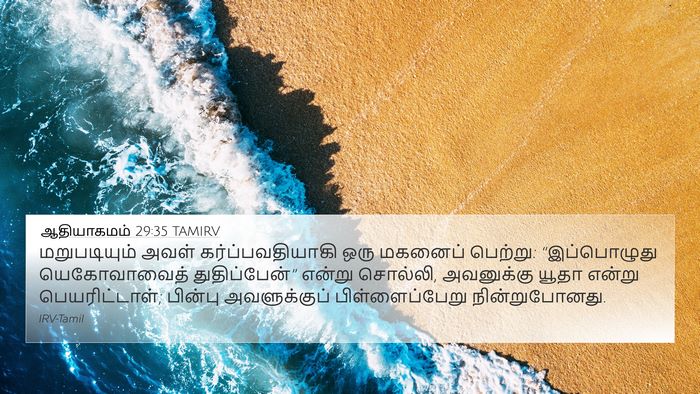 ஆதியாகமம் 29:35 TAMIRV Bible Verse Image