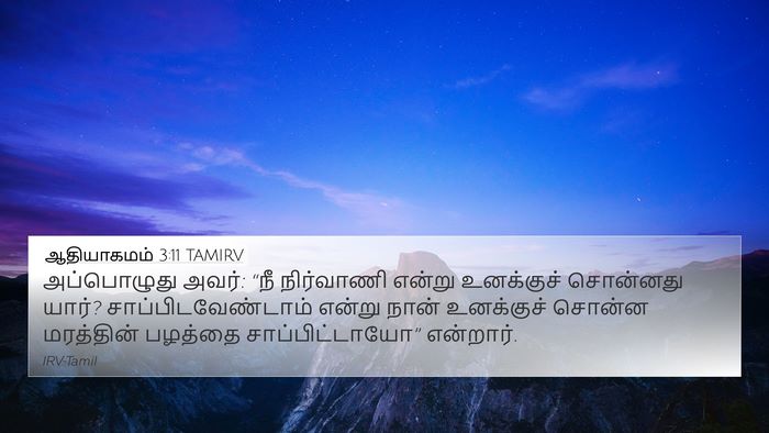 ஆதியாகமம் 3:11 TAMIRV Bible Verse Image