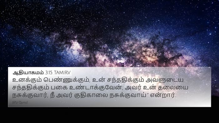 ஆதியாகமம் 3:15 TAMIRV Bible Verse Image