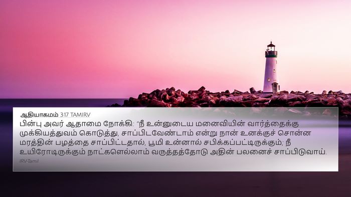 ஆதியாகமம் 3:17 TAMIRV Bible Verse Image