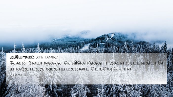 ஆதியாகமம் 30:17 TAMIRV Bible Verse Image