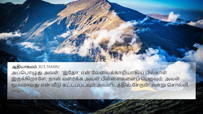 ஆதியாகமம் 30:3 TAMIRV Bible Verse Image