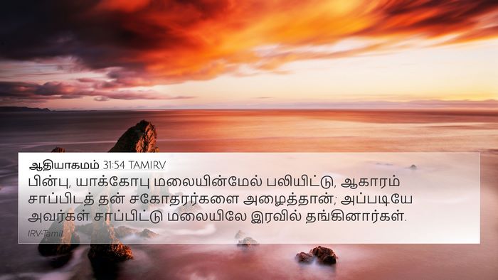 ஆதியாகமம் 31:54 TAMIRV Bible Verse Image