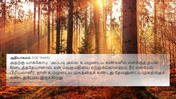 ஆதியாகமம் 33:10 TAMIRV Bible Verse Image