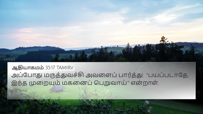 ஆதியாகமம் 35:17 TAMIRV Bible Verse Image