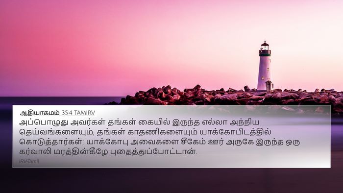 ஆதியாகமம் 35:4 TAMIRV Bible Verse Image