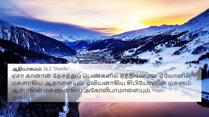 ஆதியாகமம் 36:2 TAMIRV Bible Verse Image