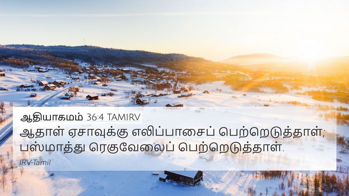 ஆதியாகமம் 36:4 TAMIRV Bible Verse Image