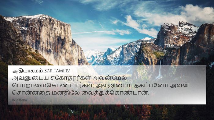 ஆதியாகமம் 37:11 TAMIRV Bible Verse Image