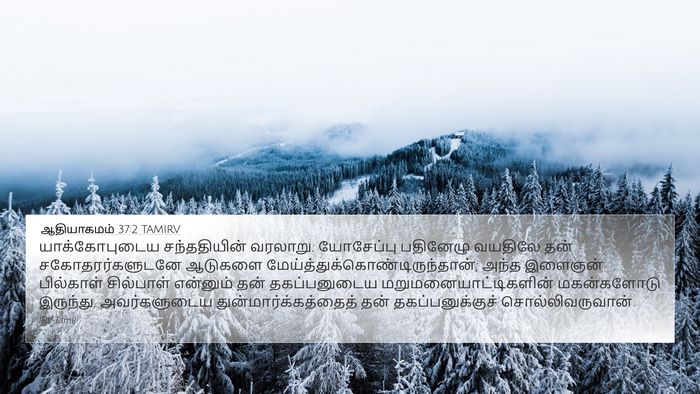 ஆதியாகமம் 37:2 TAMIRV Bible Verse Image