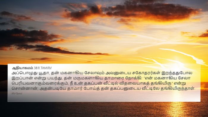 ஆதியாகமம் 38:11 TAMIRV Bible Verse Image