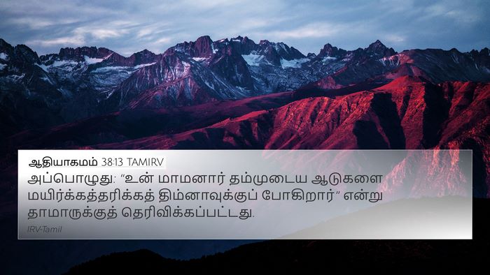 ஆதியாகமம் 38:13 TAMIRV Bible Verse Image