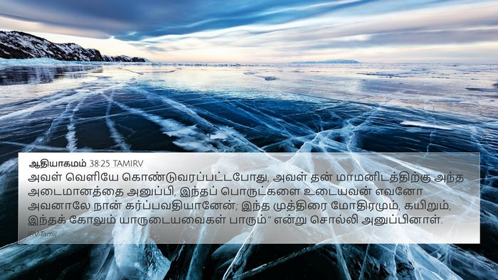 ஆதியாகமம் 38:25 TAMIRV Bible Verse Image