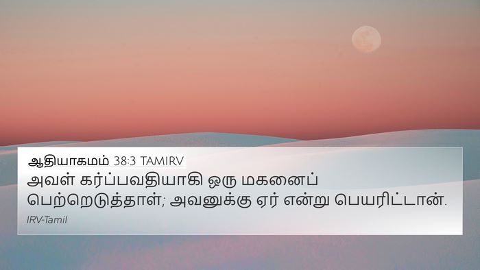 ஆதியாகமம் 38:3 TAMIRV 4K Wallpaper - அவள் - 4K Wallpaper Bible Verse