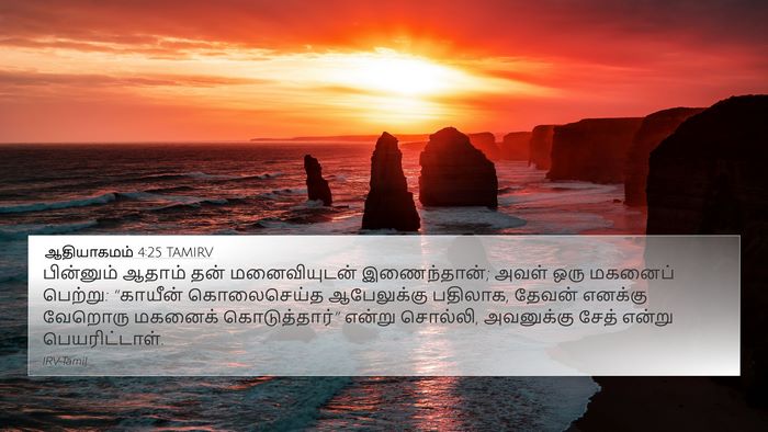 ஆதியாகமம் 4:25 TAMIRV Bible Verse Image