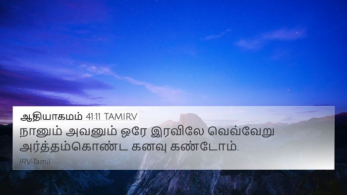 ஆதியாகமம் 41:11 TAMIRV Bible Verse Image