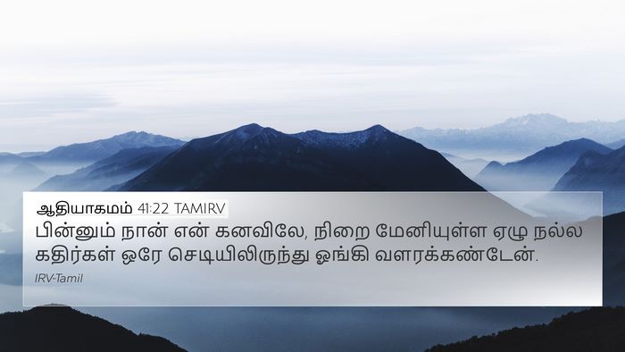 ஆதியாகமம் 41:22 TAMIRV 4K Wallpaper - பின்னும் நான் என் - 4K Wallpaper Bible Verse